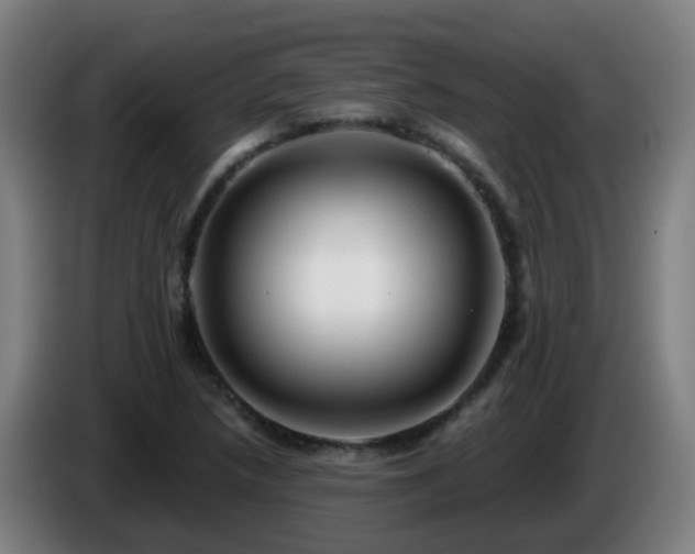X0000086101218200703301207
