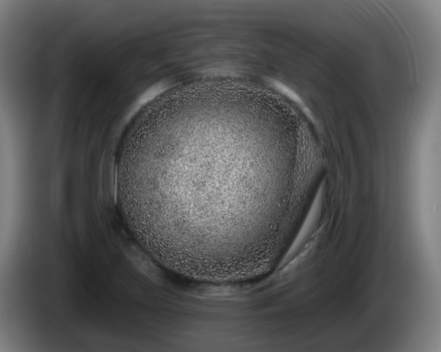 X0000086101219200703301207