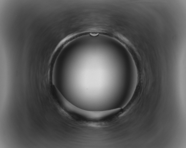 X0000086101222200703301207