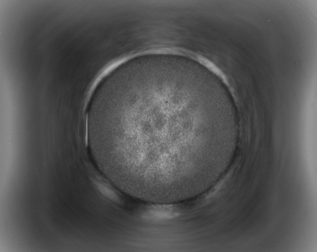 X0000086101223200703301207