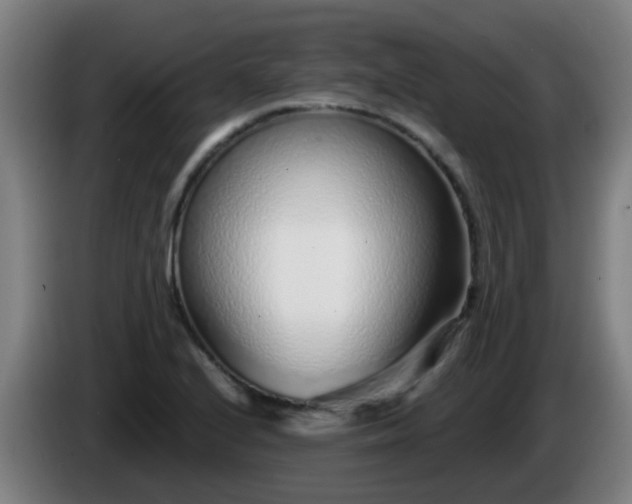 X0000086101224200703301207