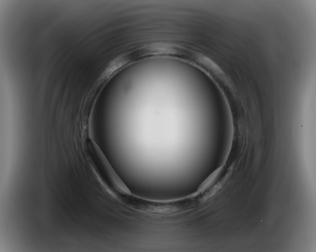 X0000086101225200703301207
