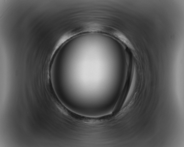 X0000086101226200703301207