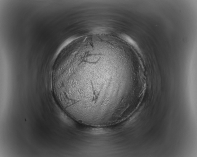 X0000086101227200703301207