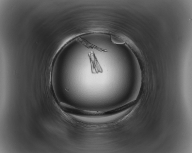 X0000086101228200703301207