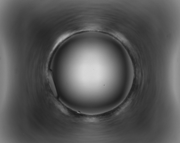 X0000086101230200703301207