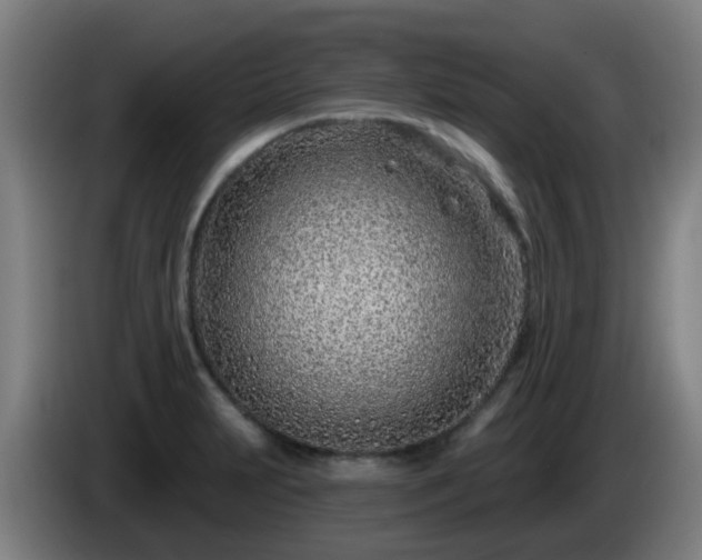 X0000086101231200703301207
