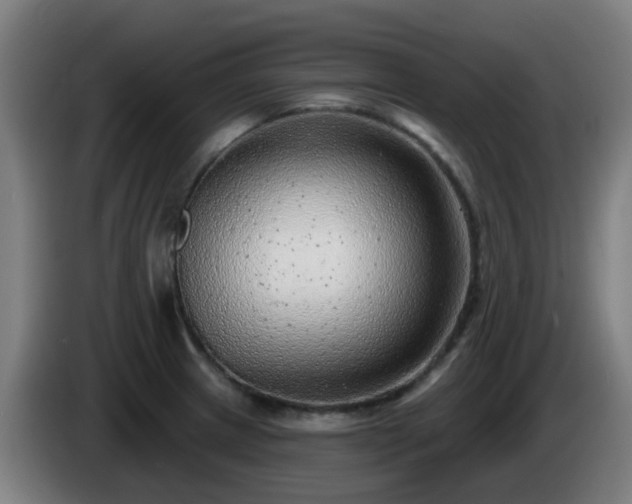 X0000086101233200703301207
