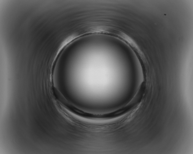 X0000086101234200703301207
