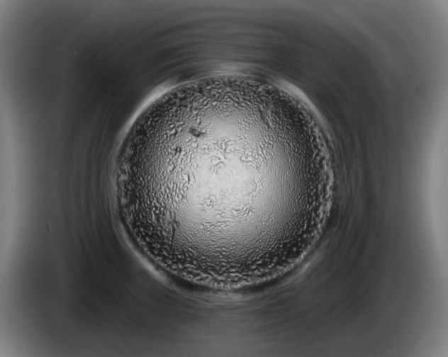 X0000086101235200703301207