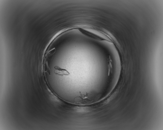 X0000086101236200703301207