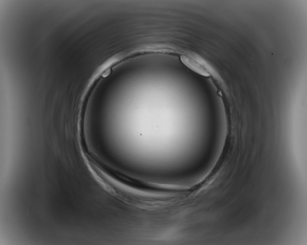 X0000086101237200703301208
