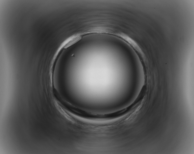 X0000086101238200703301208