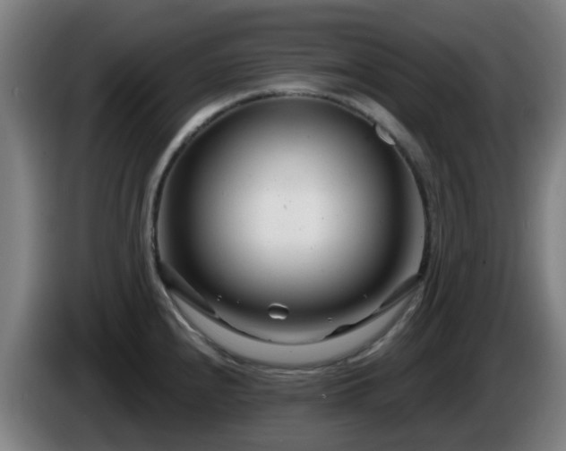 X0000086101240200703301208