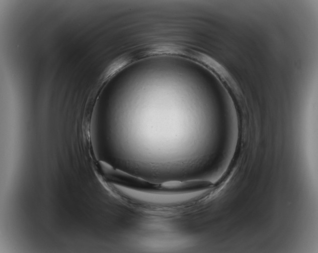 X0000086101241200703301208