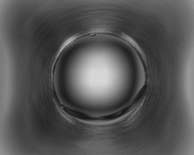 X0000086101242200703301208