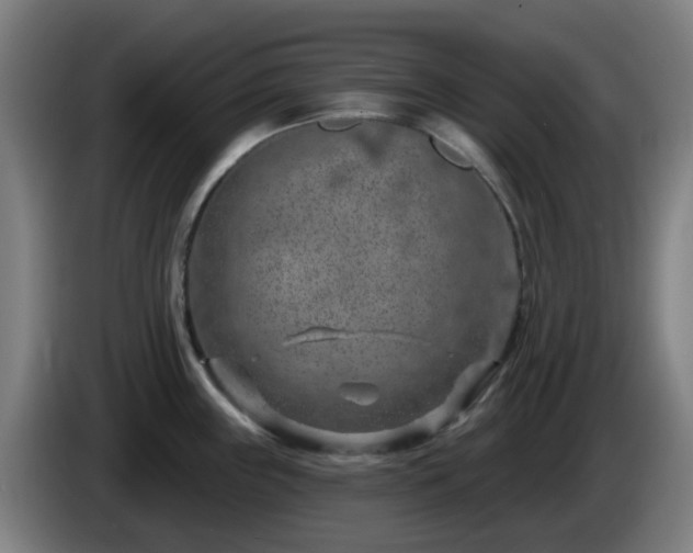 X0000086101243200703301208