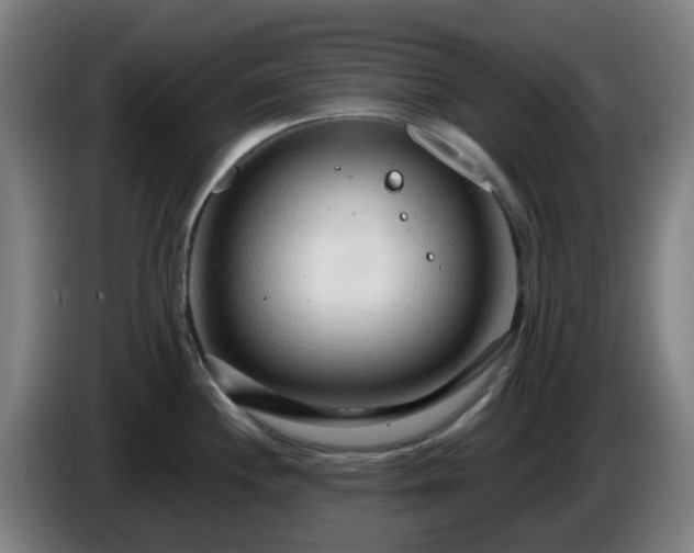 X0000086101244200703301208