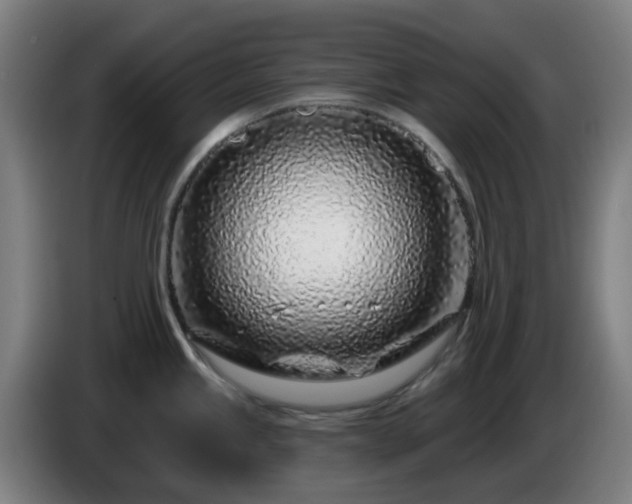 X0000086101245200703301208