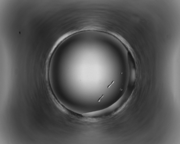 X0000086101246200703301208