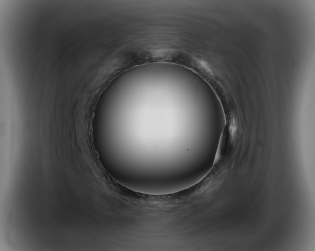 X0000086101249200703301207