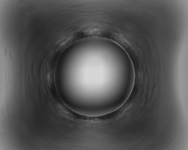 X0000086101250200703301207