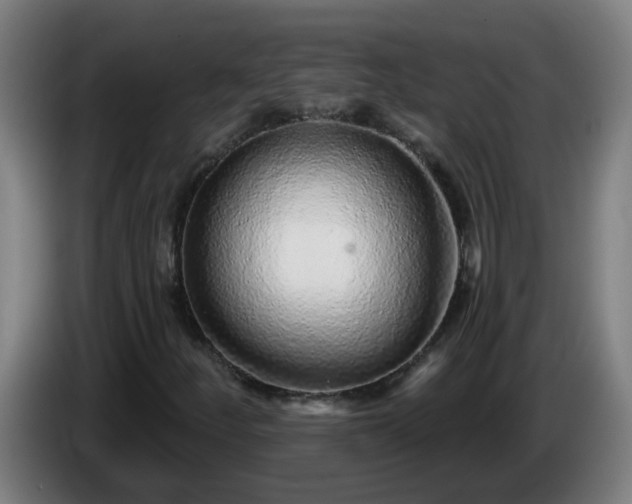 X0000086101252200703301207