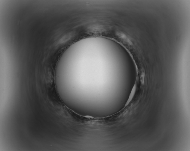 X0000086101253200703301207