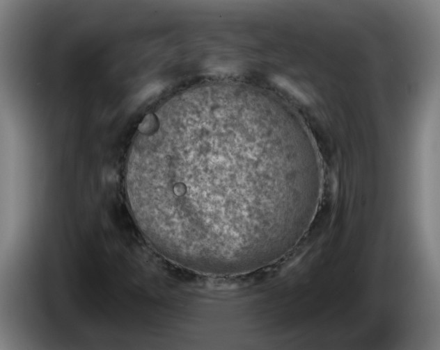 X0000086101254200703301207