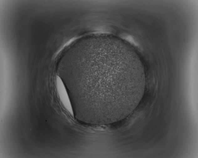 X0000086101255200703301207