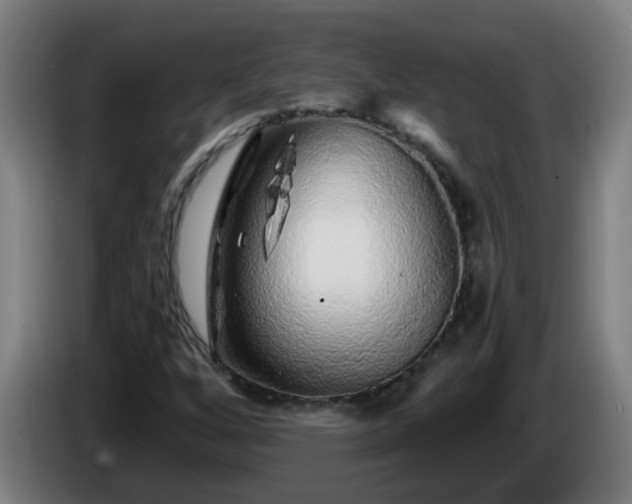 X0000086101256200703301207