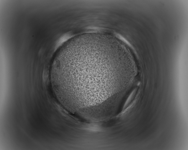 X0000086101259200703301207