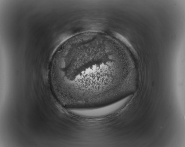 X0000086101260200703301207