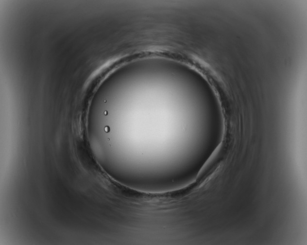 X0000086101262200703301207
