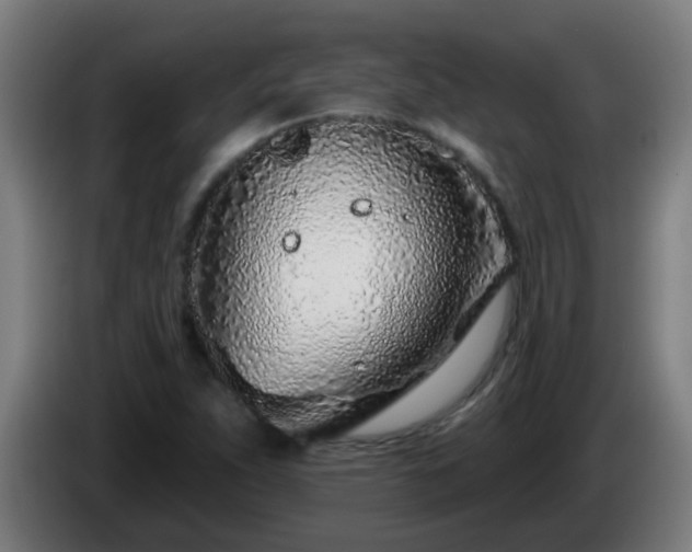 X0000086101263200703301207