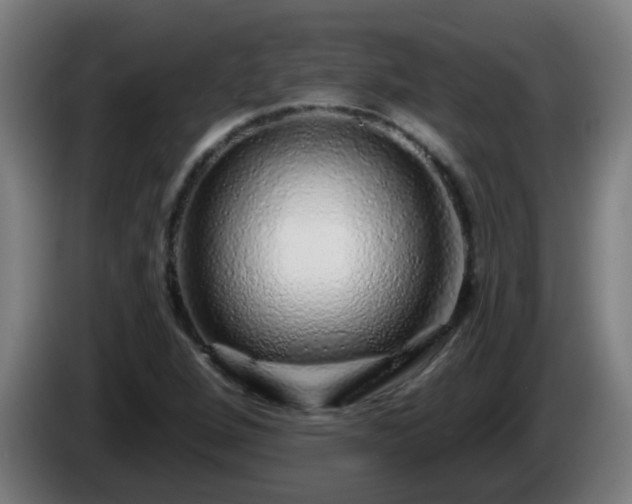 X0000086101264200703301207