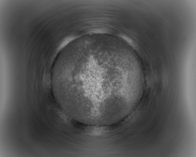 X0000086101266200703301207
