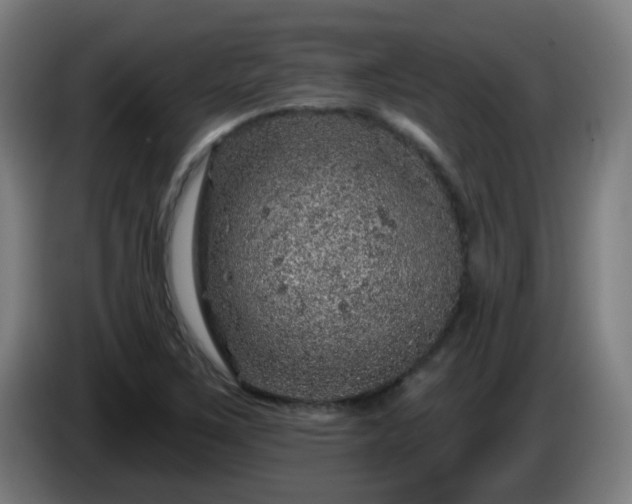 X0000086101267200703301207