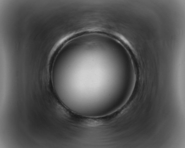 X0000086101270200703301207