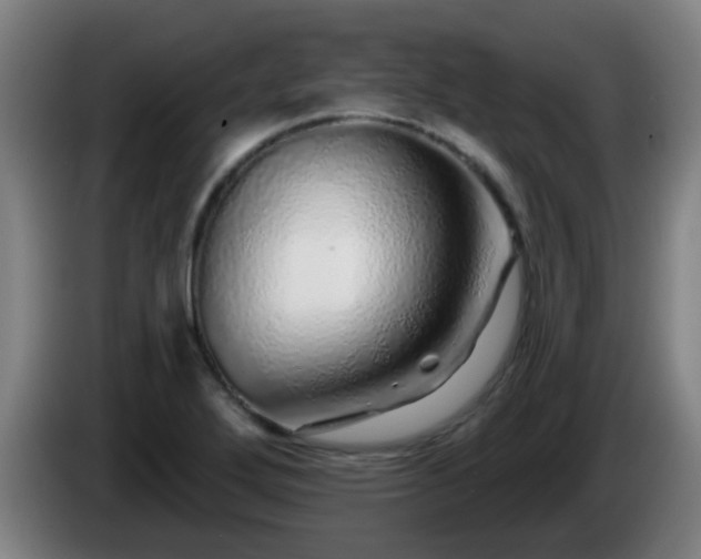 X0000086101272200703301207