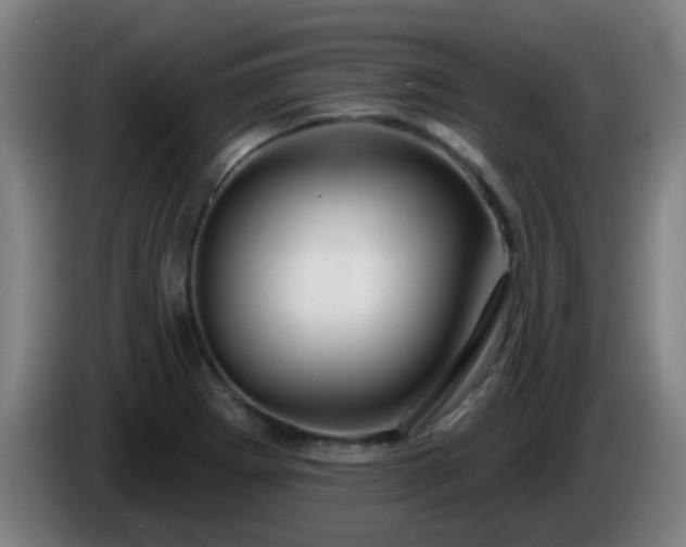 X0000086101273200703301207