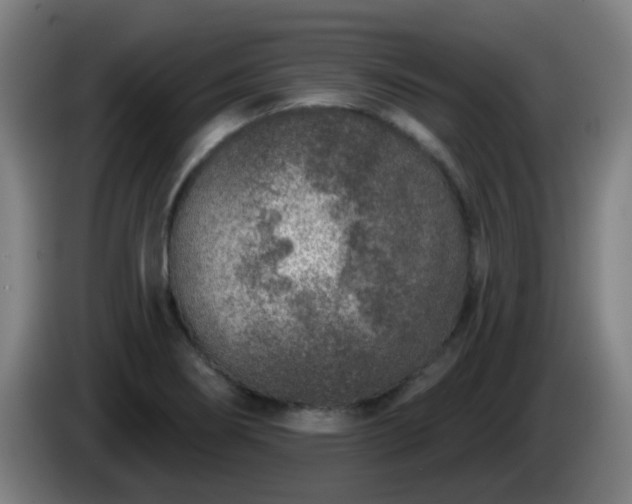 X0000086101274200703301207
