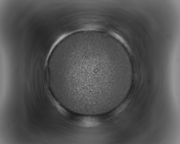 X0000086101275200703301207