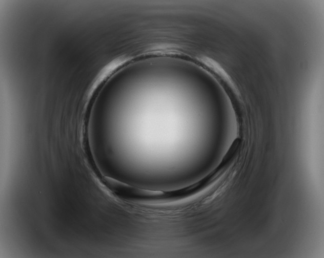 X0000086101277200703301207