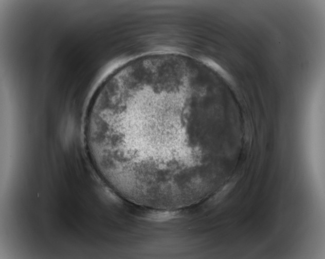 X0000086101278200703301207