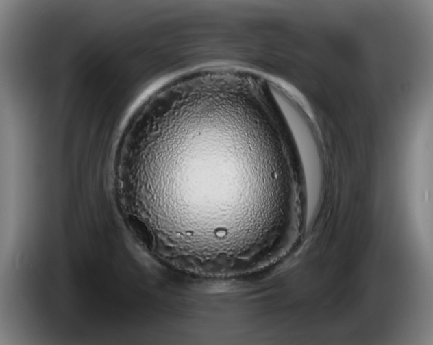X0000086101279200703301207