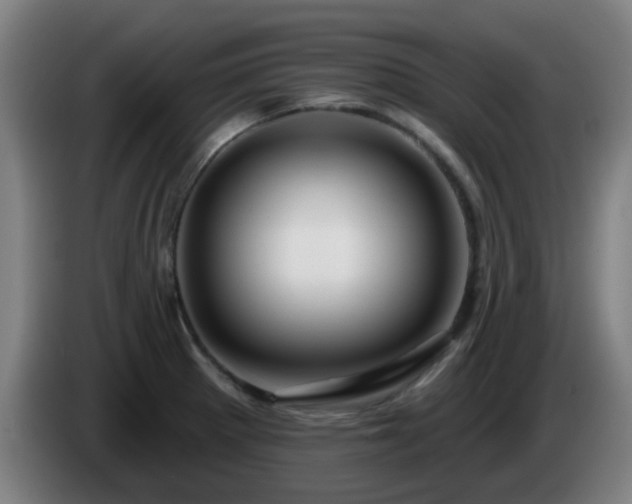 X0000086101281200703301207