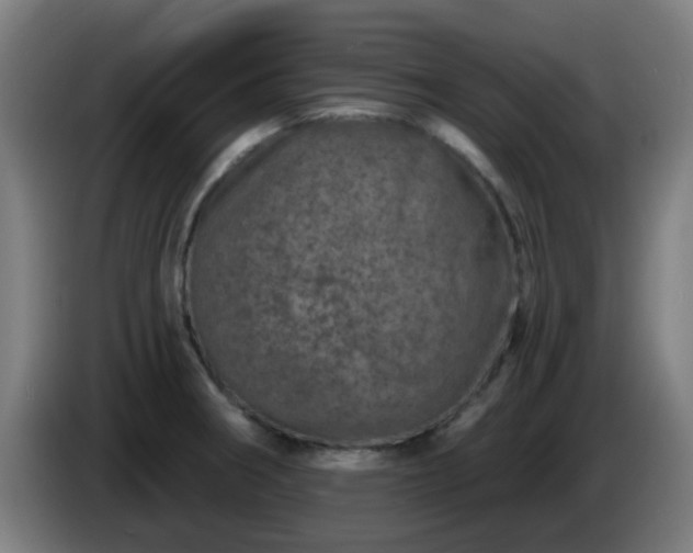 X0000086101282200703301207