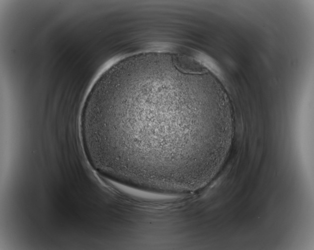 X0000086101283200703301207