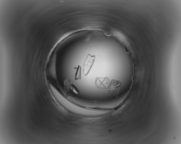 X0000086101284200703301206